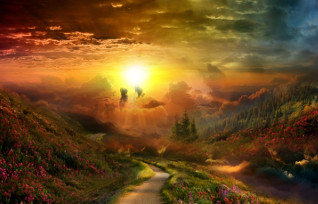 online reading psychic